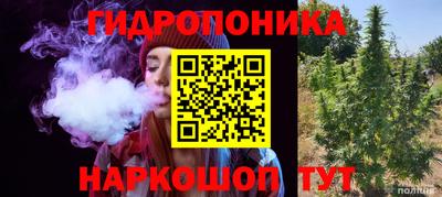 винт Сланцы