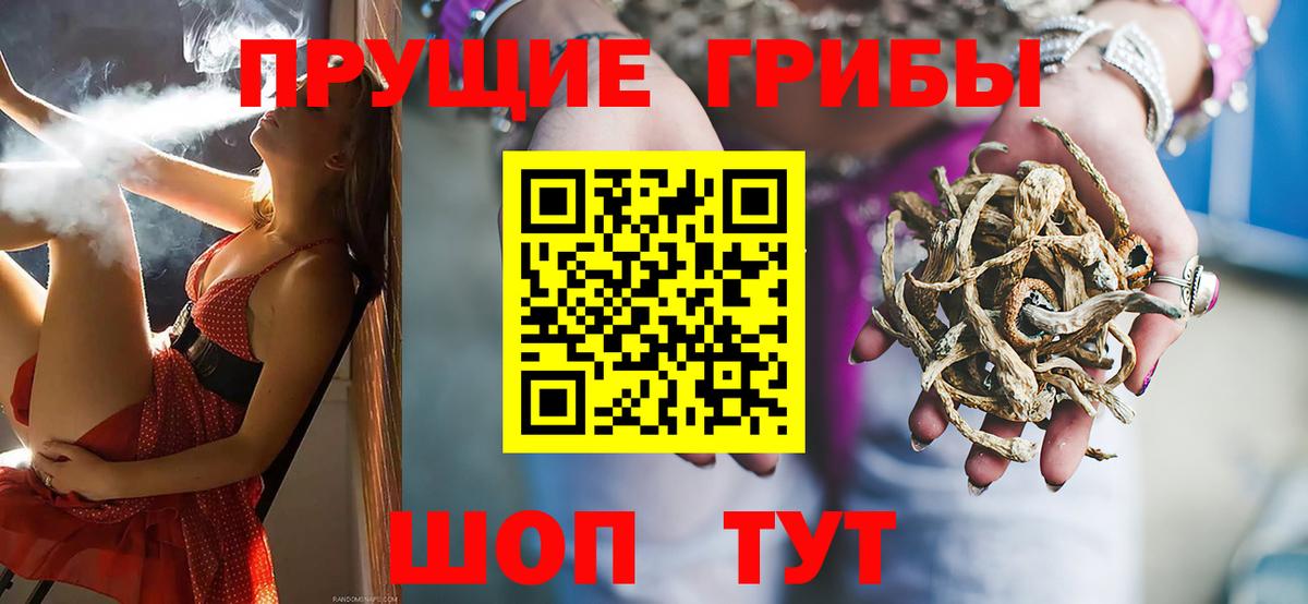 Тайшет  Псилоцибиновые грибы MAGIC MUSHROOMS  где найти   Вход с VPN 